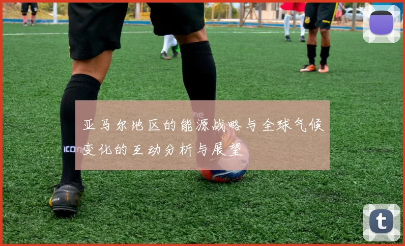 亚马尔地区的能源战略与全球气候变化的互动分析与展望